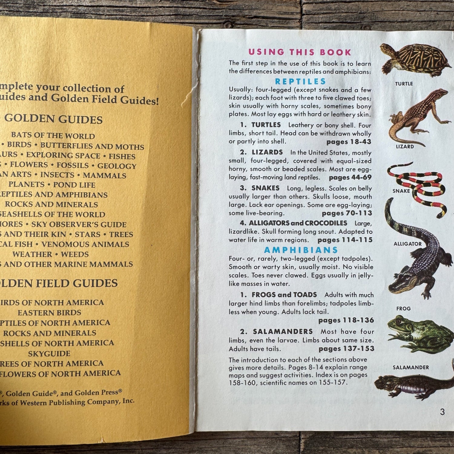 Reptiles and Amphibians, Golden Field Guide - Pretty Old Books