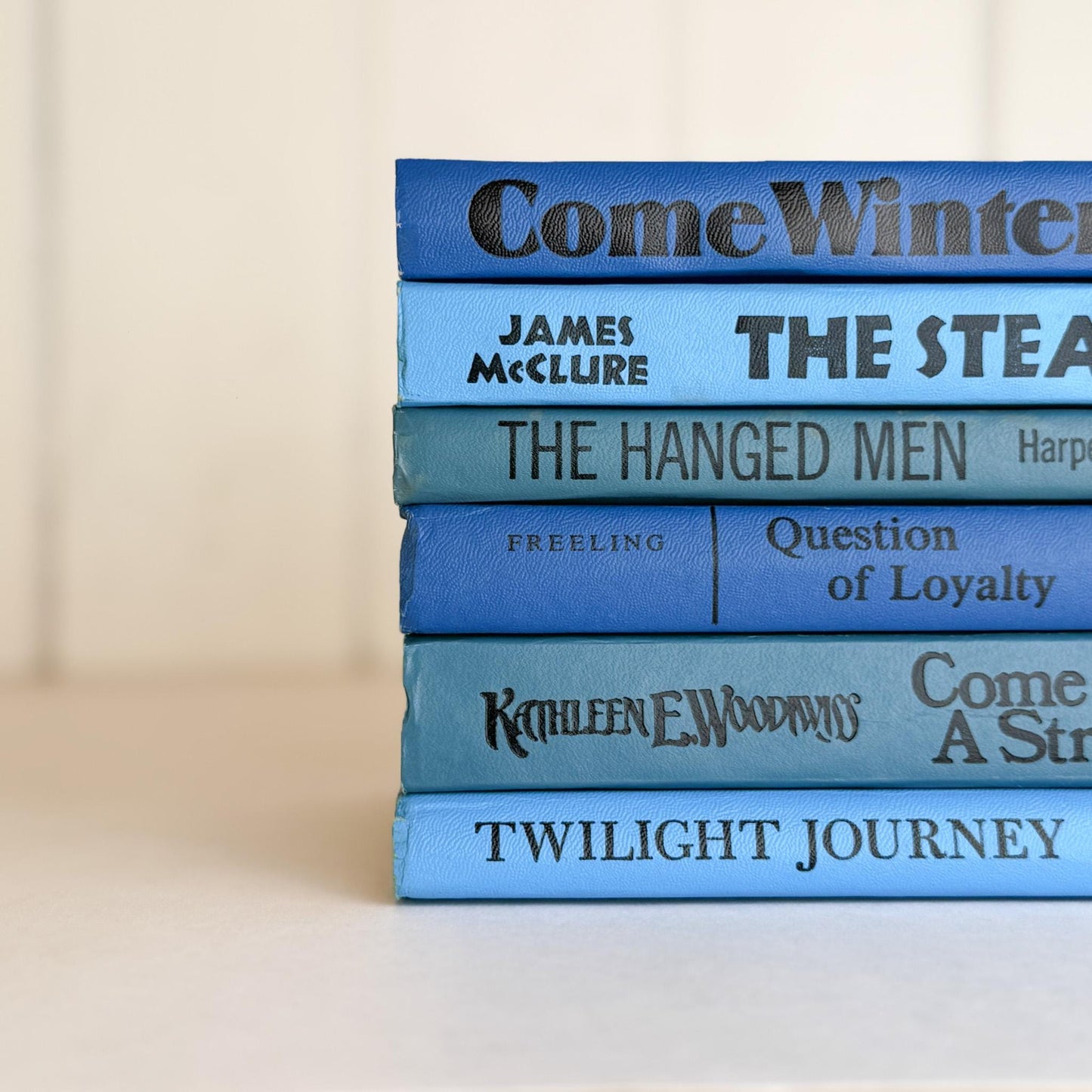 Retro 1960s Blue Decorative Book Bundle for Shelf Display - Pretty Old Books