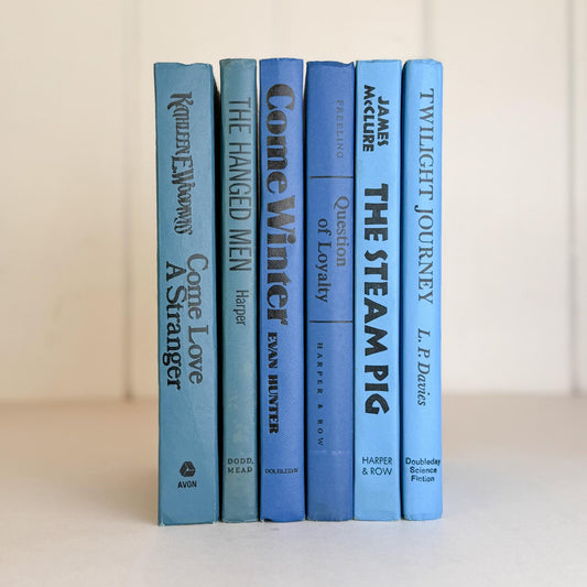 Retro 1960s Blue Decorative Book Bundle for Shelf Display - Pretty Old Books