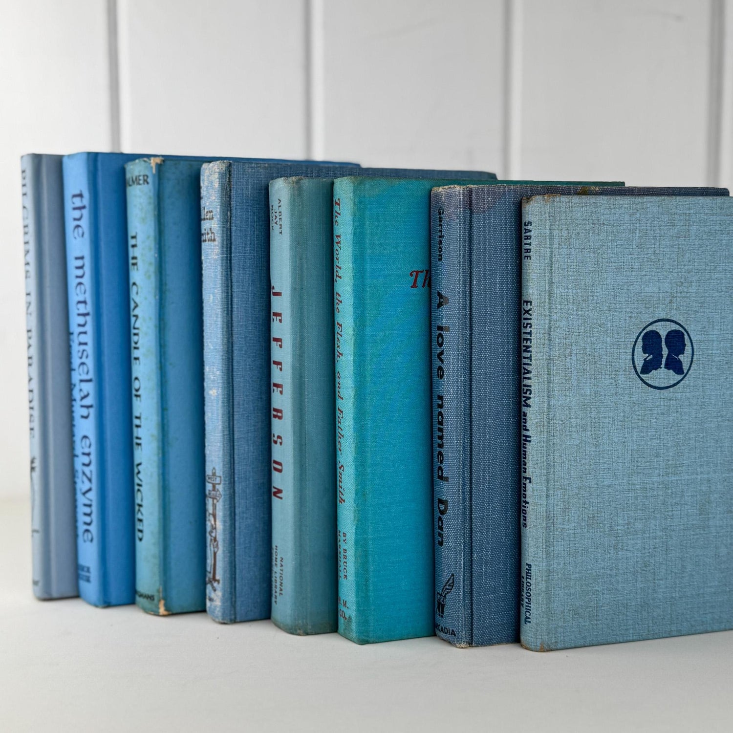 Retro Blue Decorative Book Bundle with Fun Lettering for Shelf Display - Pretty Old Books