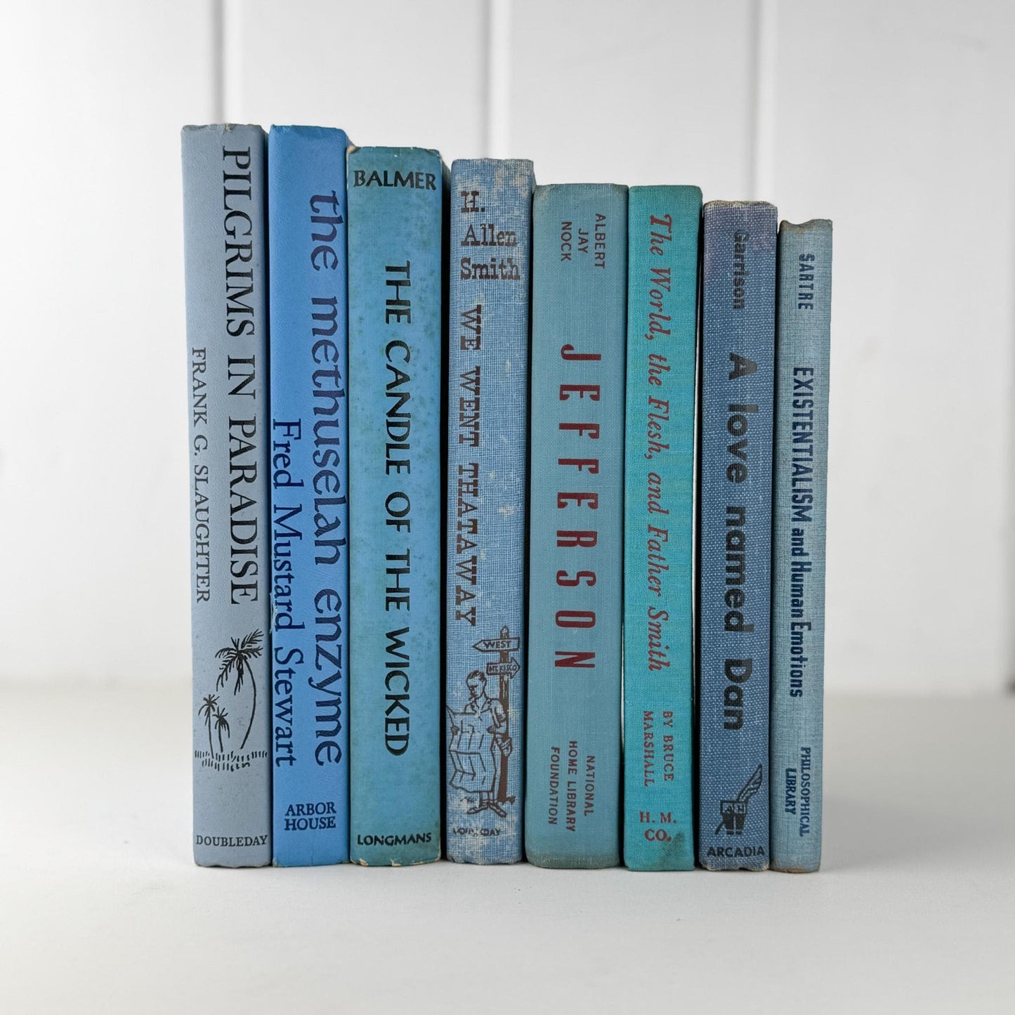 Retro Blue Decorative Book Bundle with Fun Lettering for Shelf Display - Pretty Old Books