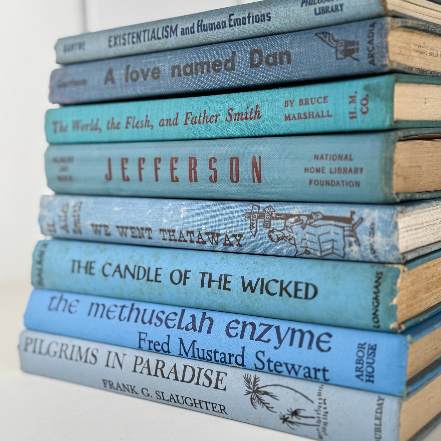 Retro Blue Decorative Book Bundle with Fun Lettering for Shelf Display - Pretty Old Books