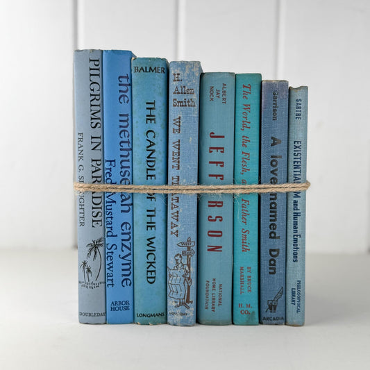 Retro Blue Decorative Book Bundle with Fun Lettering for Shelf Display - Pretty Old Books