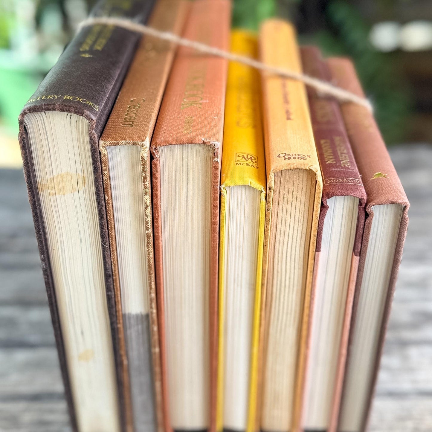 Retro Cookbook and Gardening Book Bundle in Bronze, Brown & Mustard - Pretty Old Books
