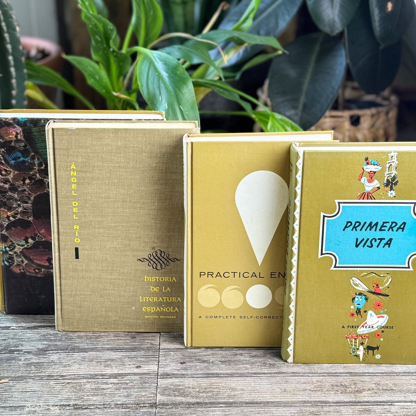 Retro School Book Set in Avocado Green, Mustard, Gold - Pretty Old Books