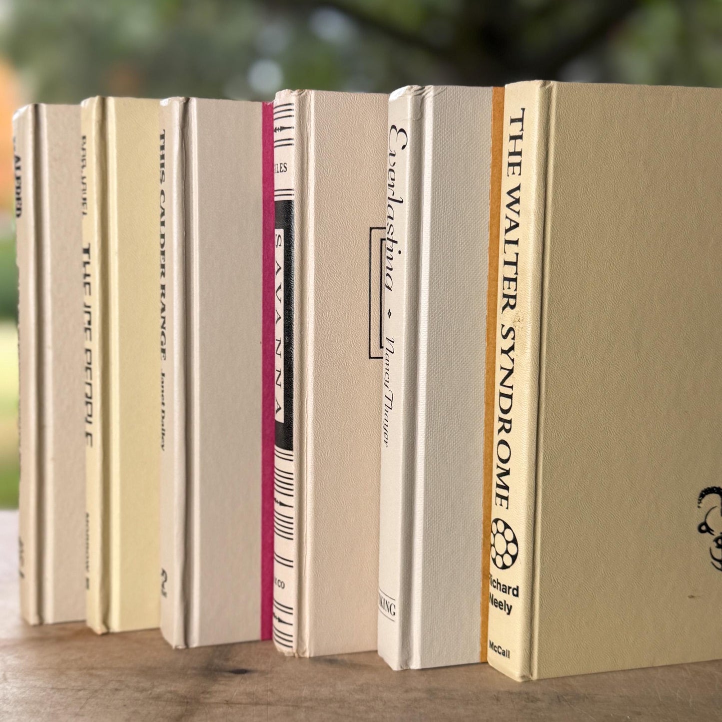 Retro Vintage Taupe and Black Book Bundle for Shelf Styling - Pretty Old Books