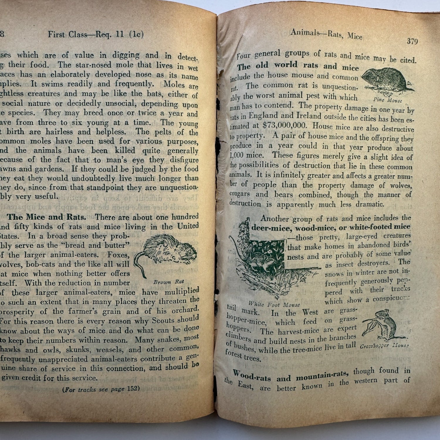 Revised Handbook For Boys, First Edition, 1937 Boy Scouts of America, - Pretty Old Books