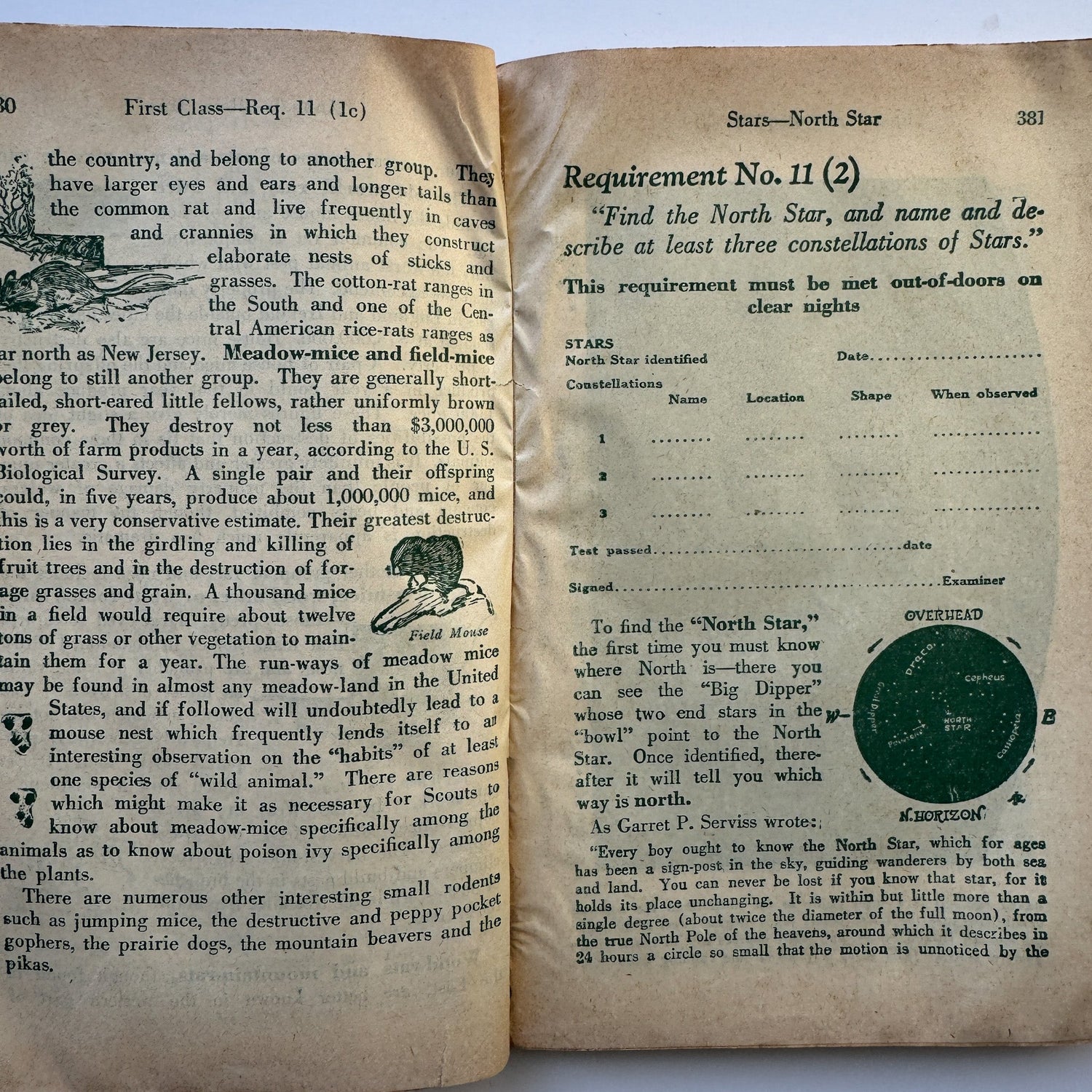 Revised Handbook For Boys, First Edition, 1937 Boy Scouts of America, - Pretty Old Books