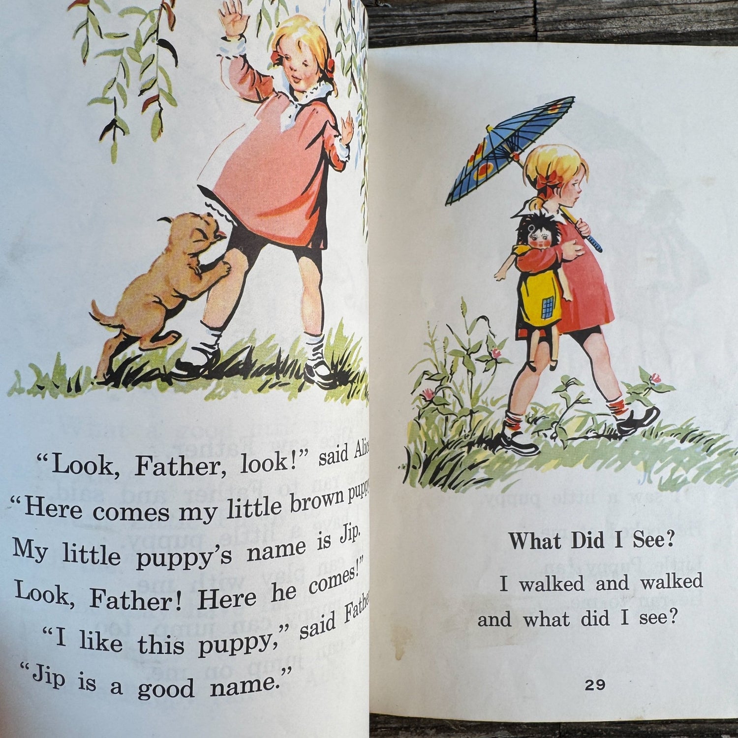 Rides and Slides, Mabel O'Donnell, The Alice and Jerry Books, Harper & Row, 1955 - Pretty Old Books
