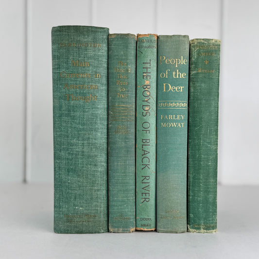 Rustic Teal and Moss Green Vintage Decorative Book Bundle for Shelf Styling - Pretty Old Books