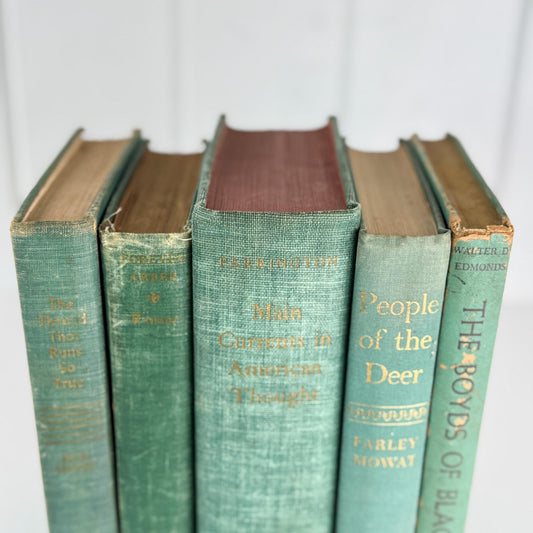 Rustic Teal and Moss Green Vintage Decorative Book Bundle for Shelf Styling - Pretty Old Books