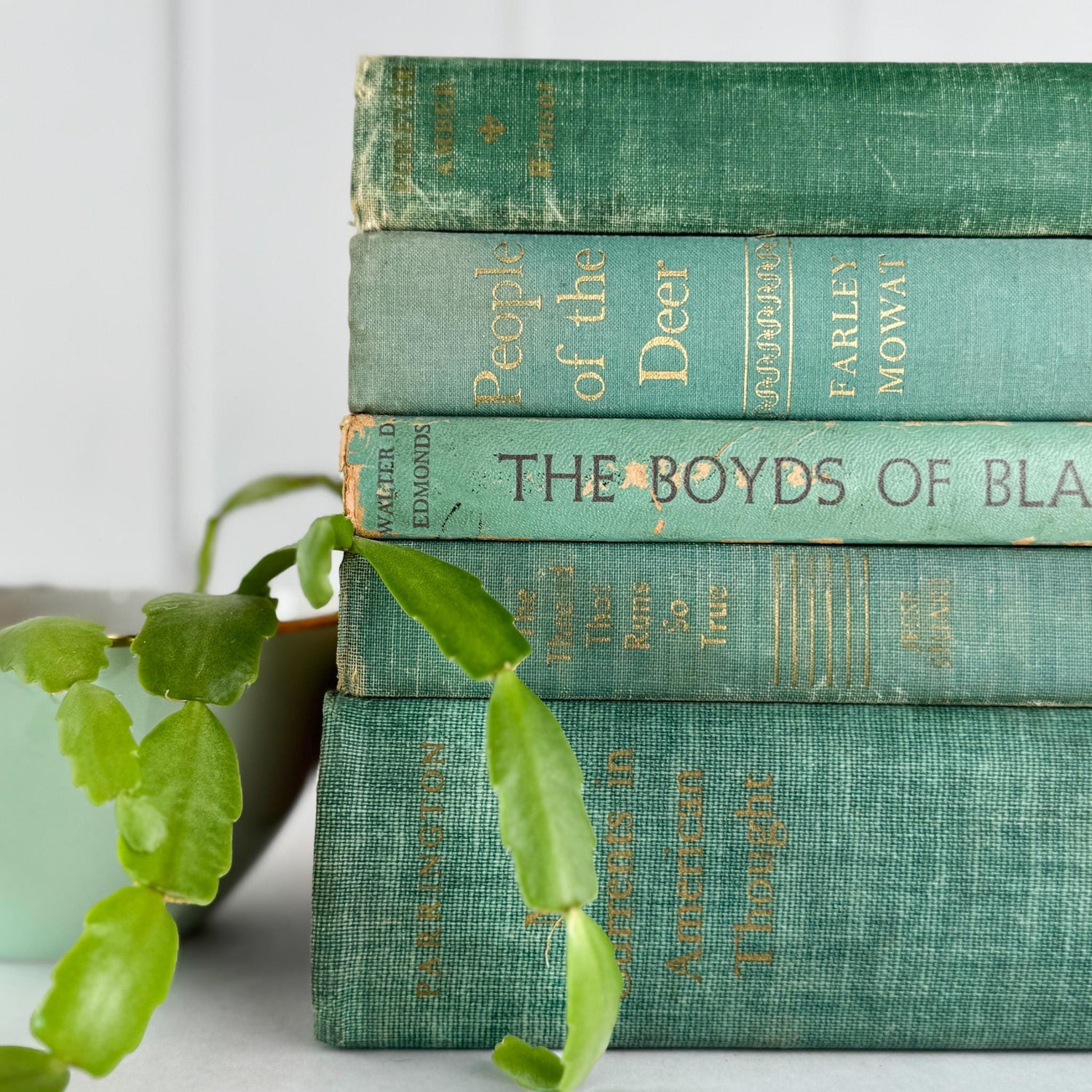 Rustic Teal and Moss Green Vintage Decorative Book Bundle for Shelf Styling - Pretty Old Books