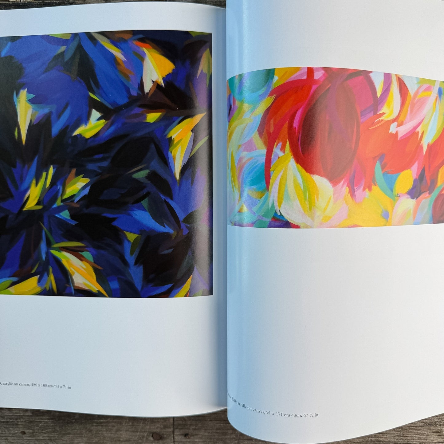 Samia Halaby: Five Decades of Painting and Innovation, Maymanah Farhat, 2013 - Pretty Old Books