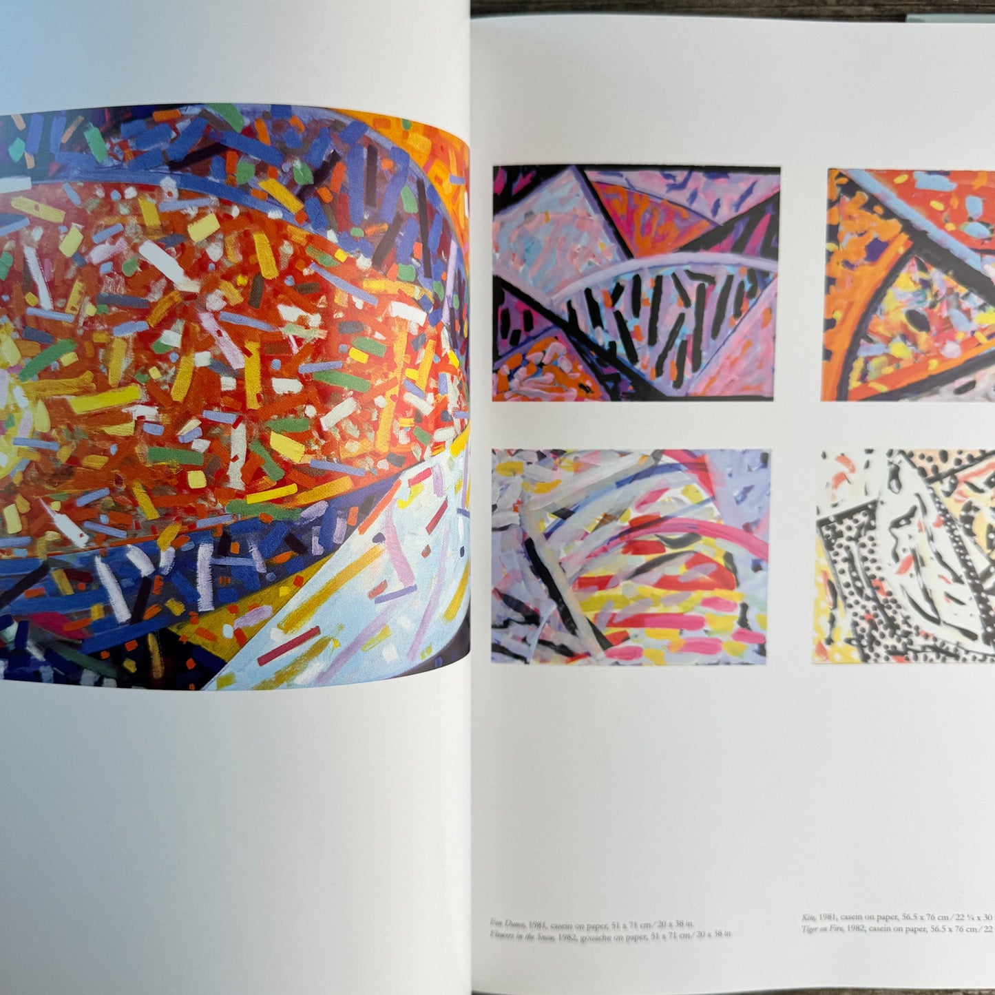Samia Halaby: Five Decades of Painting and Innovation, Maymanah Farhat, 2013 - Pretty Old Books