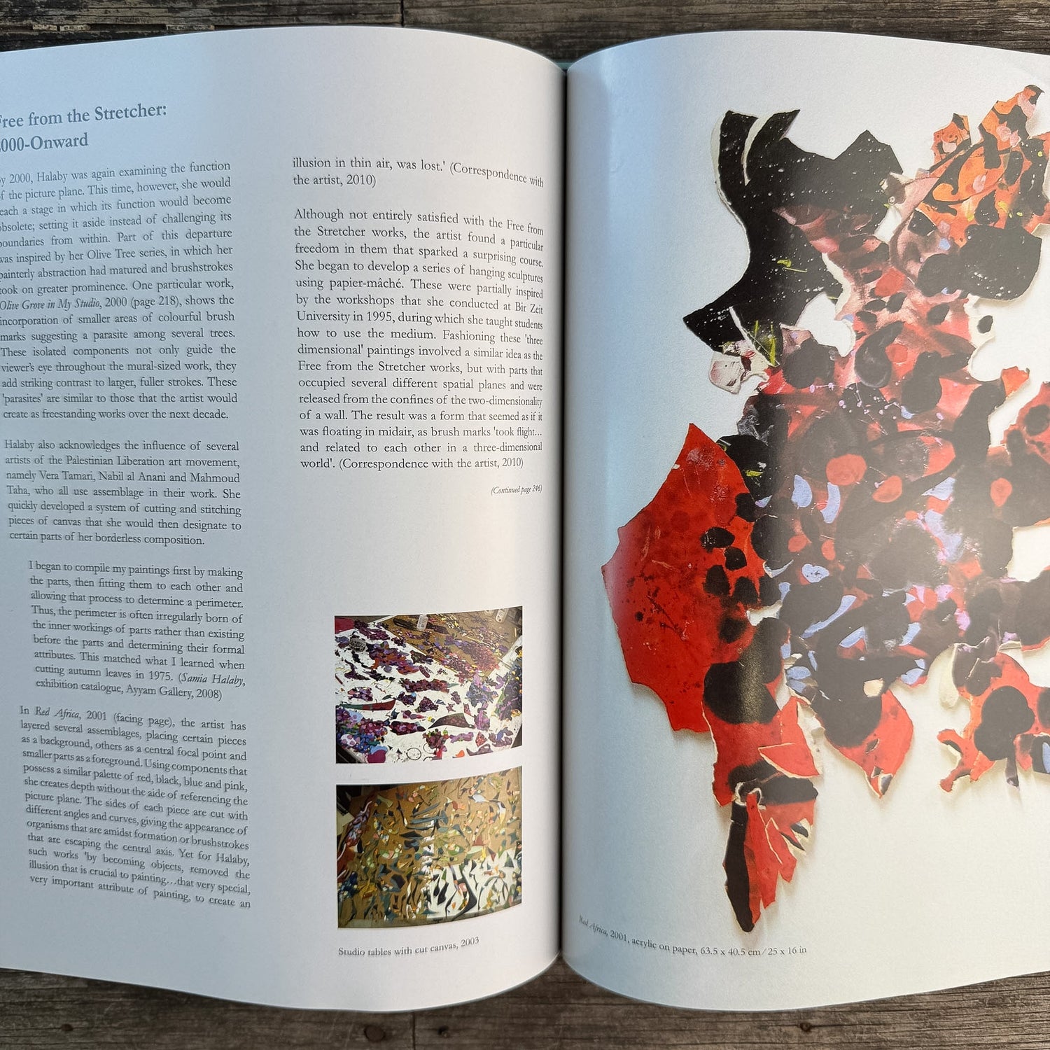 Samia Halaby: Five Decades of Painting and Innovation, Maymanah Farhat, 2013 - Pretty Old Books
