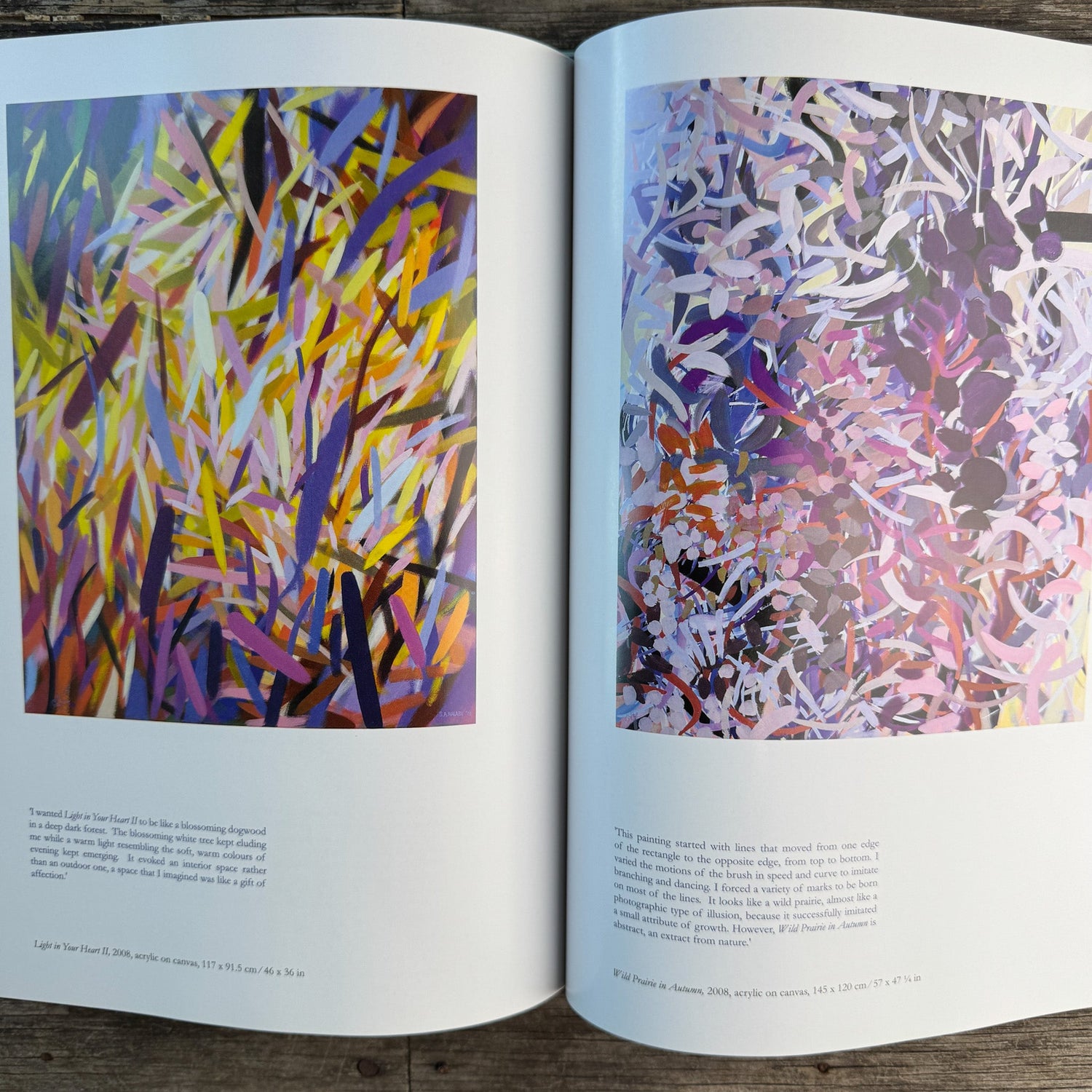 Samia Halaby: Five Decades of Painting and Innovation, Maymanah Farhat, 2013 - Pretty Old Books