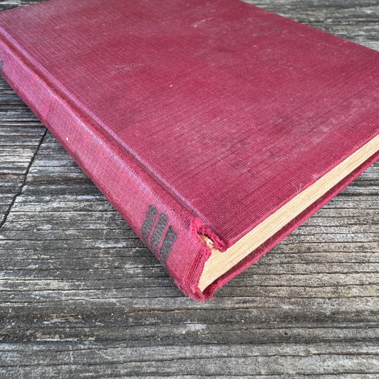 Sane Sex and Sane Sex Living, 1922 Sex Education Book - Pretty Old Books