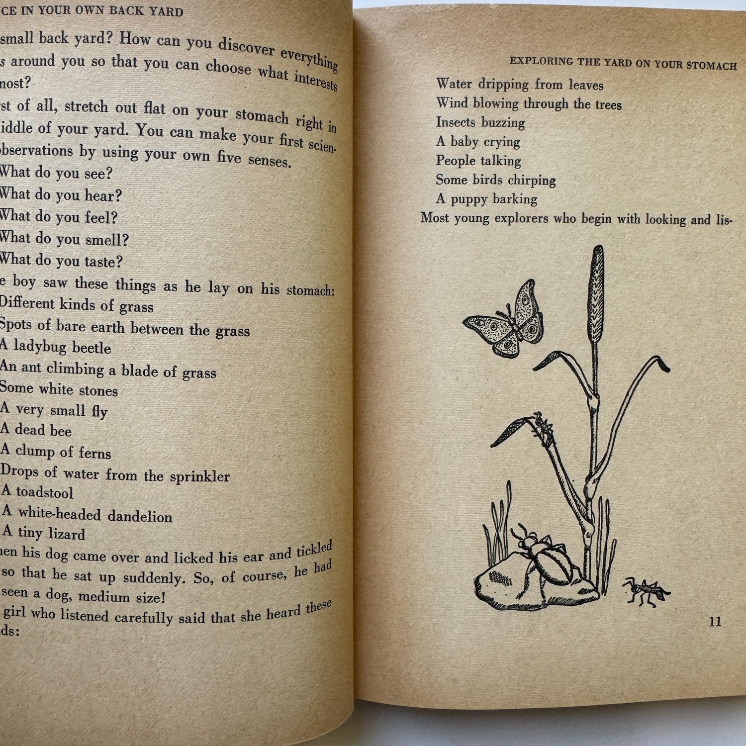 Science in Your Own Back Yard, 1960 Weekly Reader Children's Hardcover Book - Pretty Old Books