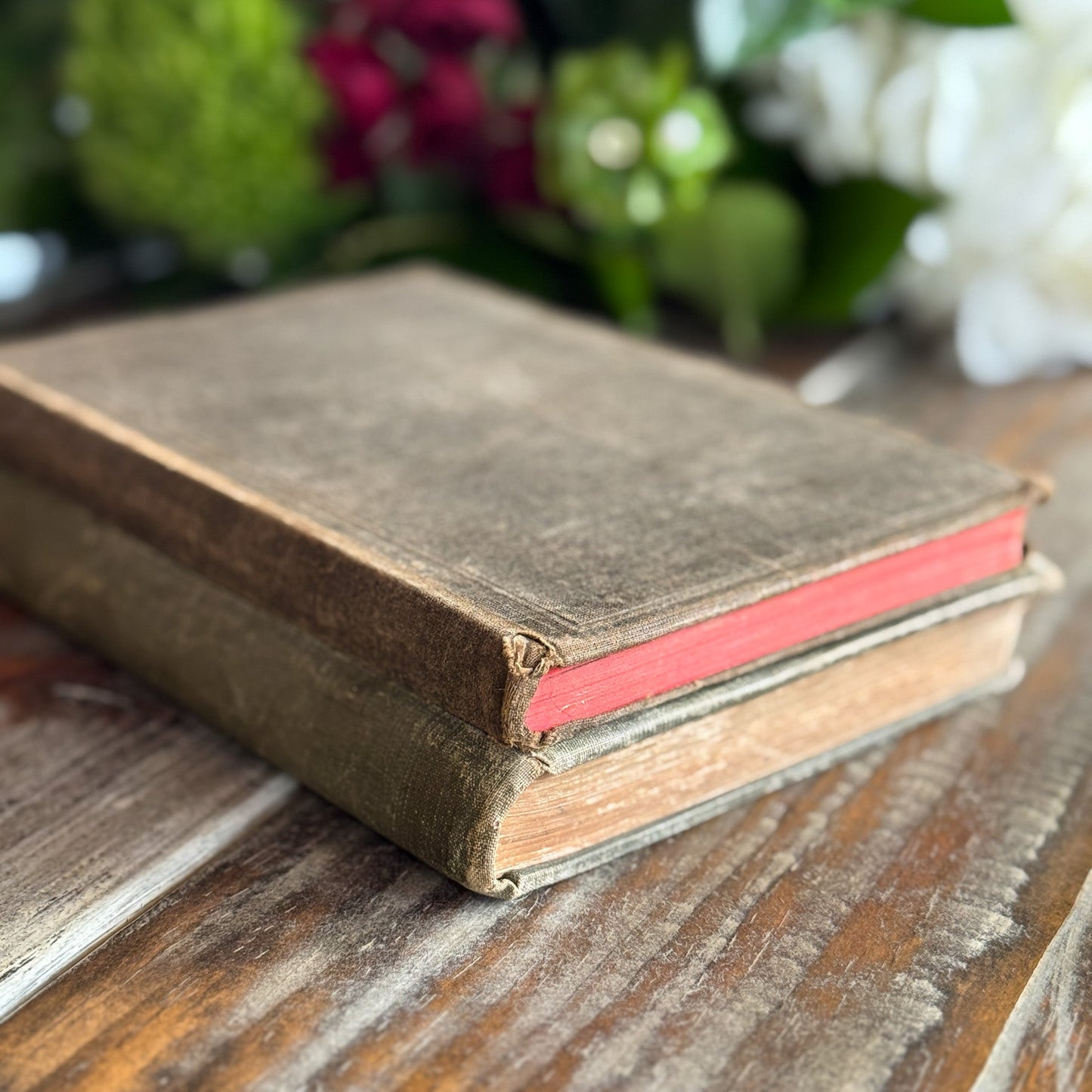 Set of 2 Antique Latin Textbooks - Pretty Old Books