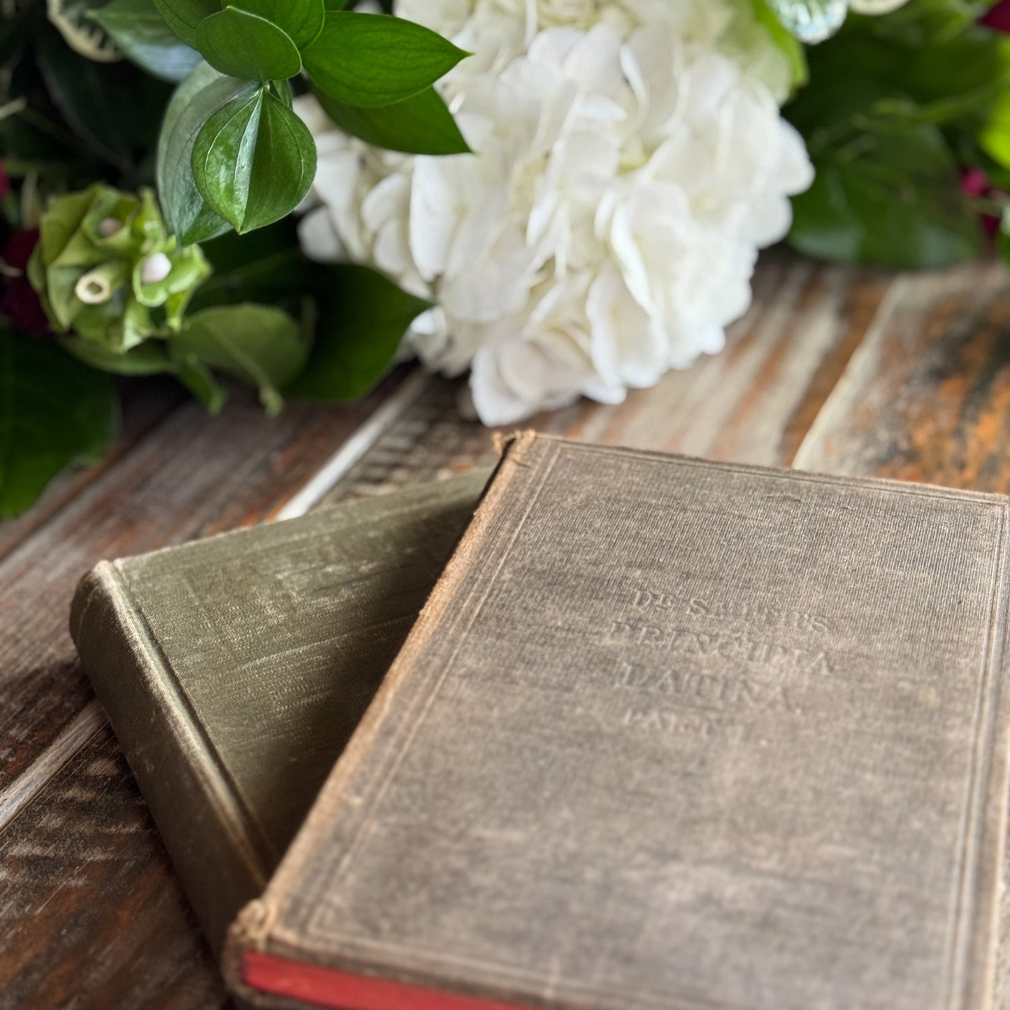 Set of 2 Antique Latin Textbooks - Pretty Old Books