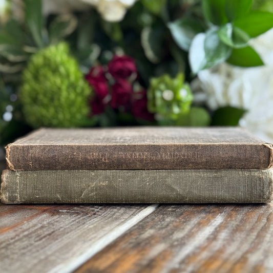 Set of 2 Antique Latin Textbooks - Pretty Old Books