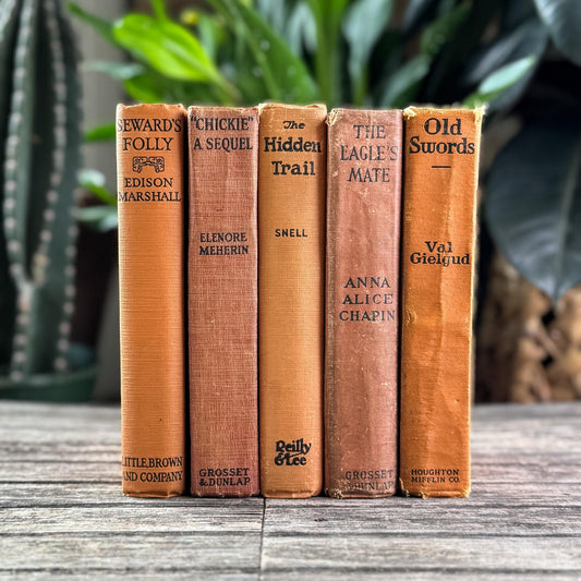 Set of 5 Antique Novels in Orange & Copper, Early 1900s Fiction - Pretty Old Books