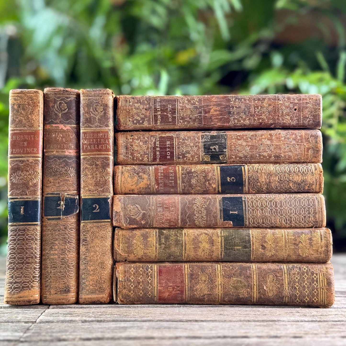 Set of 9 Shabby Antique French Leather Books in Smaller Sizes - Pretty Old Books