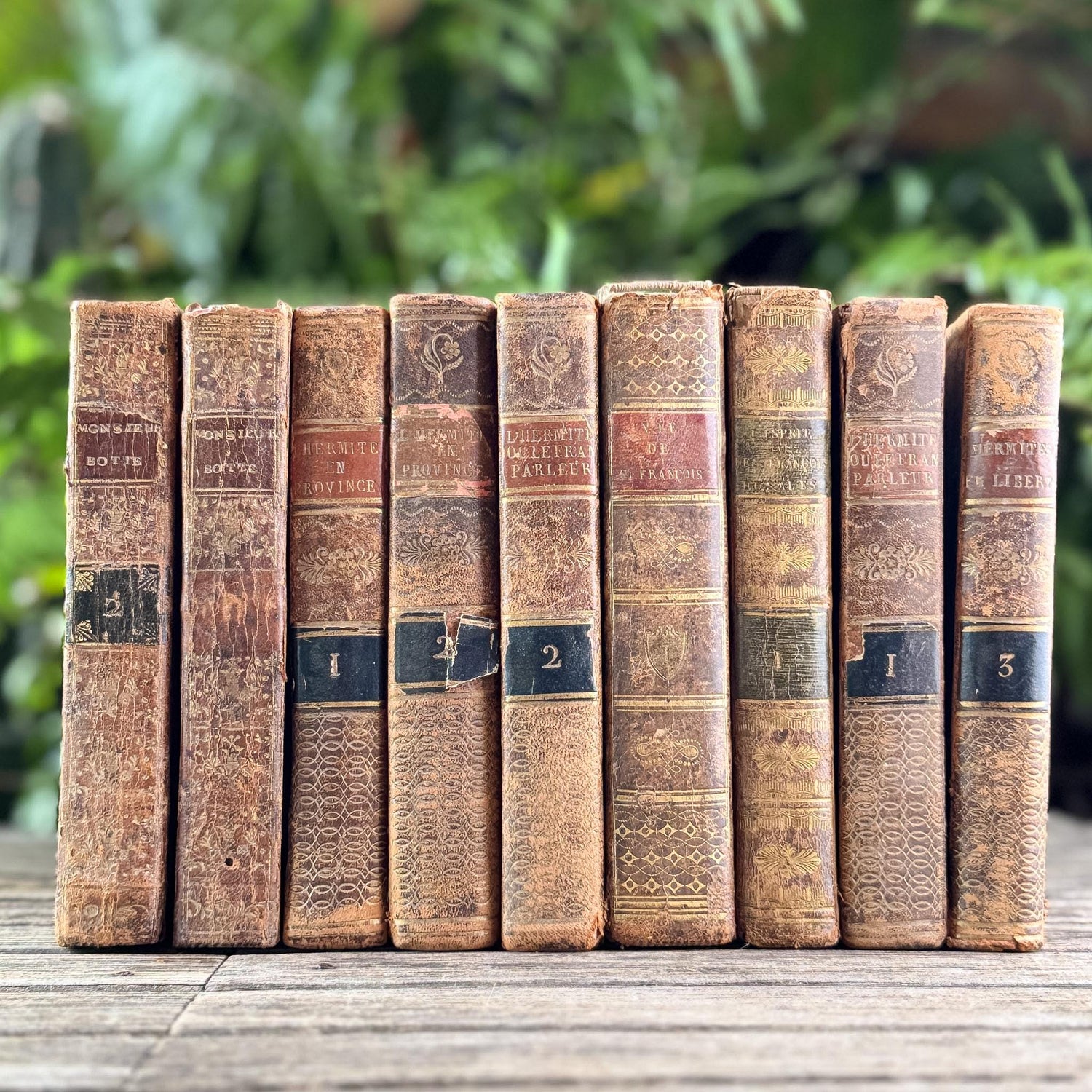 Set of 9 Shabby Antique French Leather Books in Smaller Sizes - Pretty Old Books