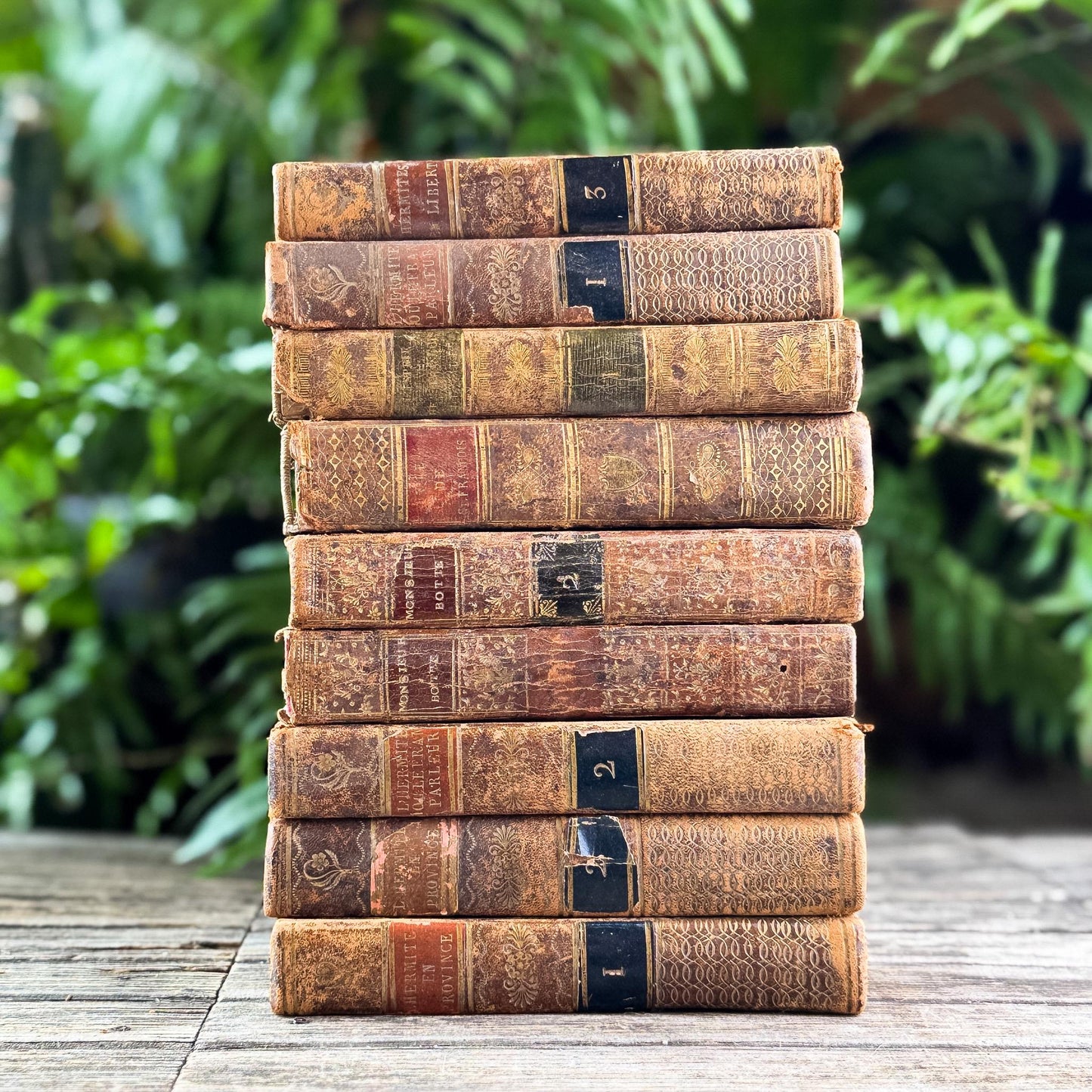 Set of 9 Shabby Antique French Leather Books in Smaller Sizes - Pretty Old Books