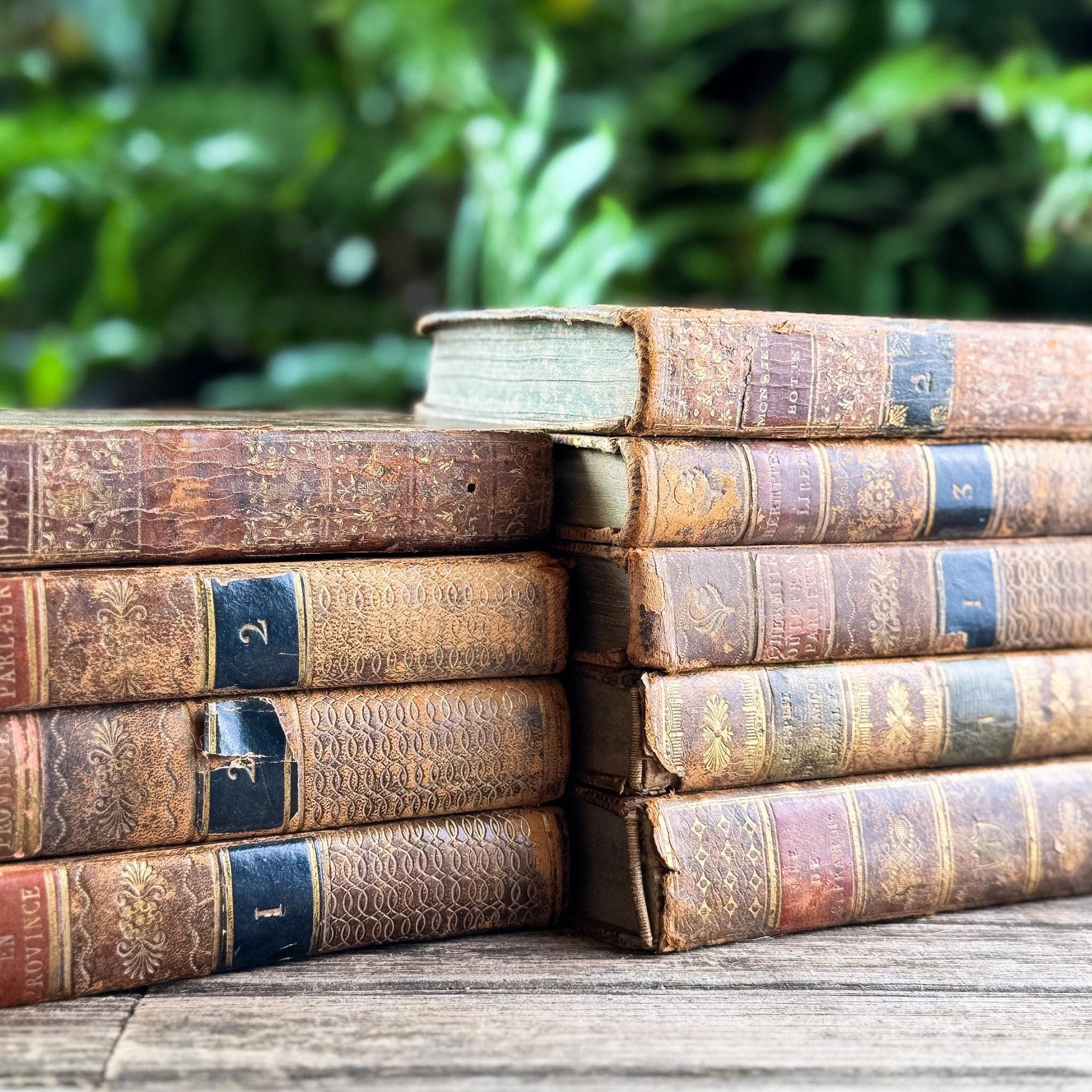 Set of 9 Shabby Antique French Leather Books in Smaller Sizes - Pretty Old Books