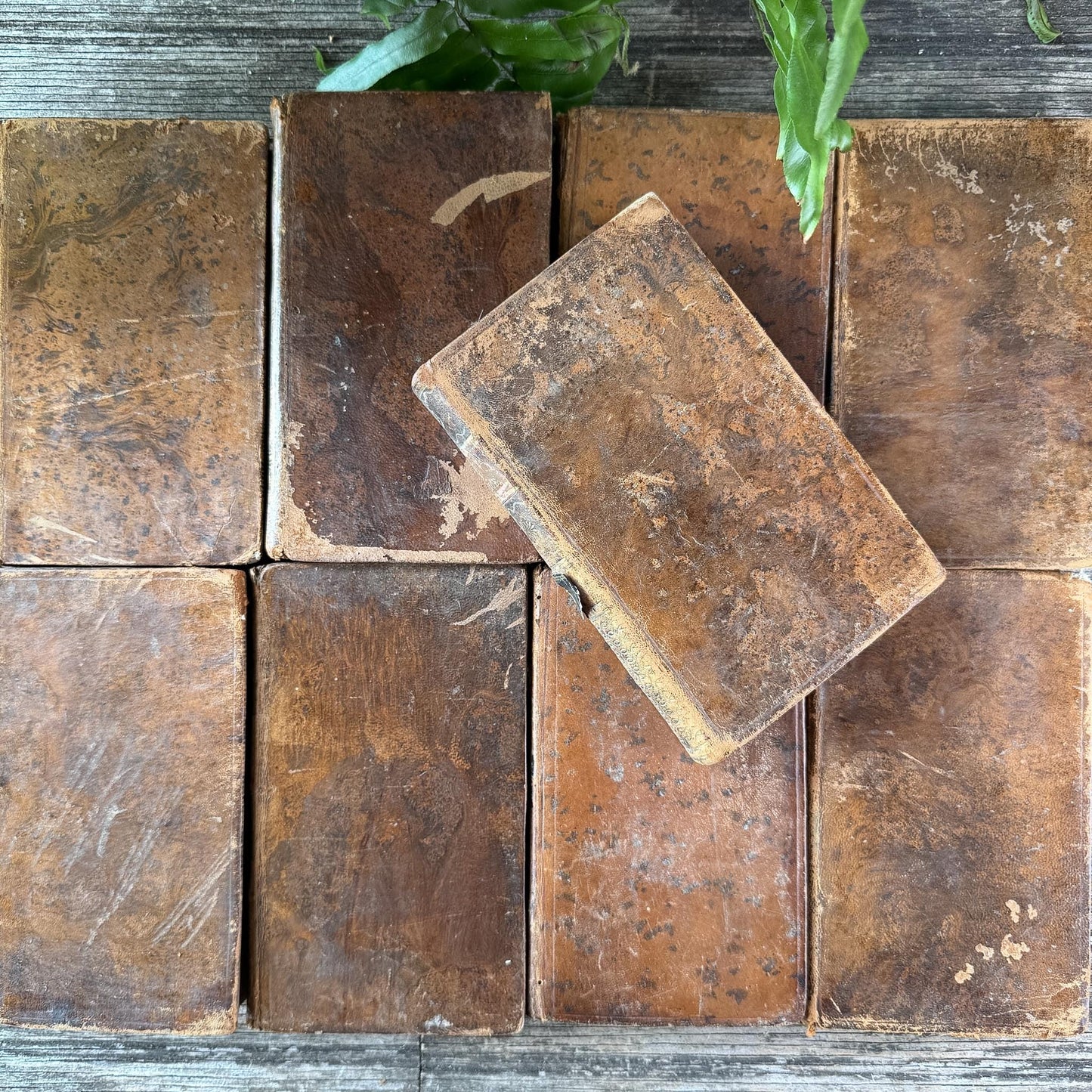 Set of 9 Shabby Antique French Leather Books in Smaller Sizes - Pretty Old Books
