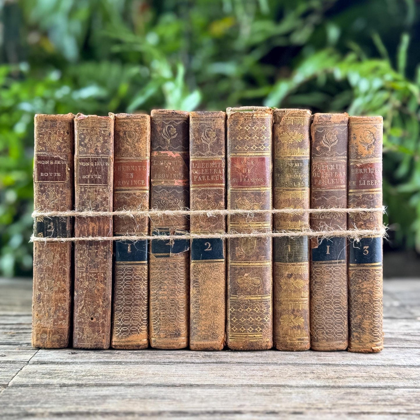 Set of 9 Shabby Antique French Leather Books in Smaller Sizes - Pretty Old Books