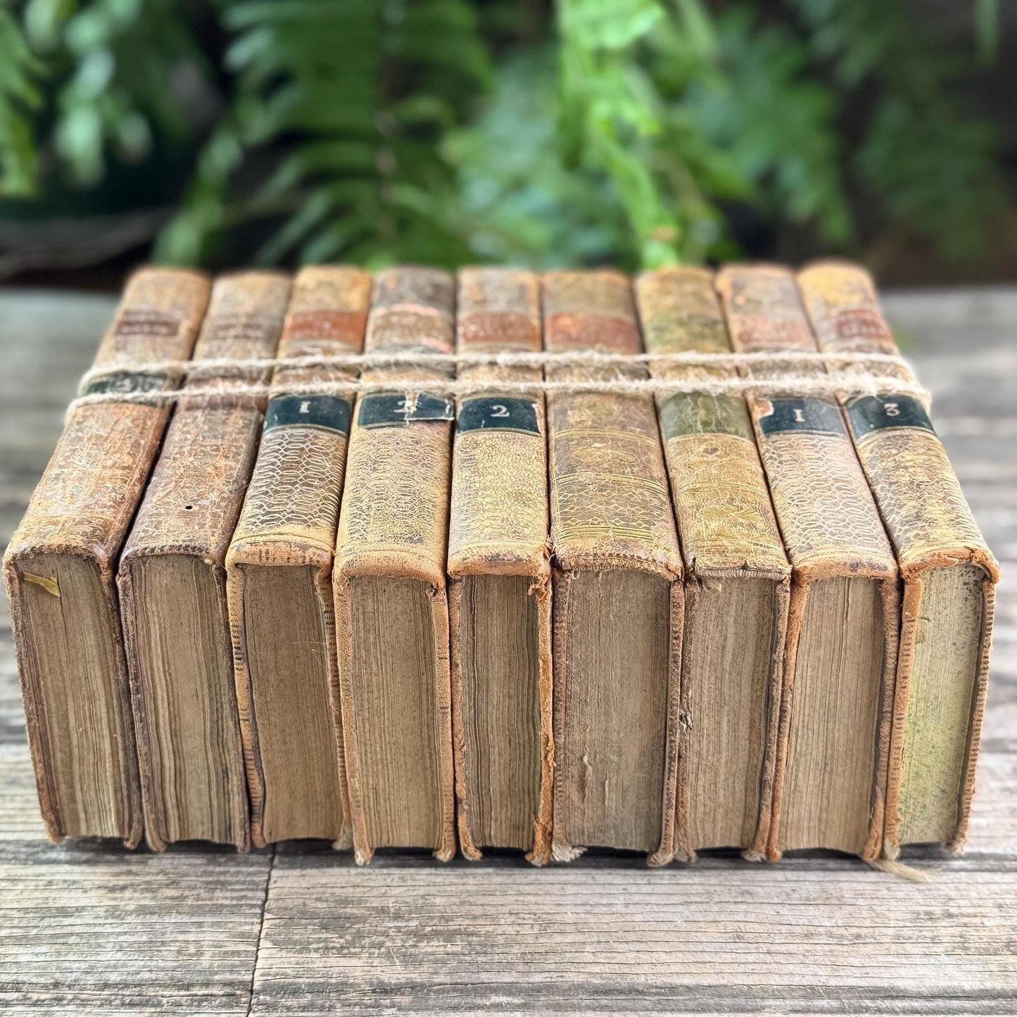 Set of 9 Shabby Antique French Leather Books in Smaller Sizes - Pretty Old Books