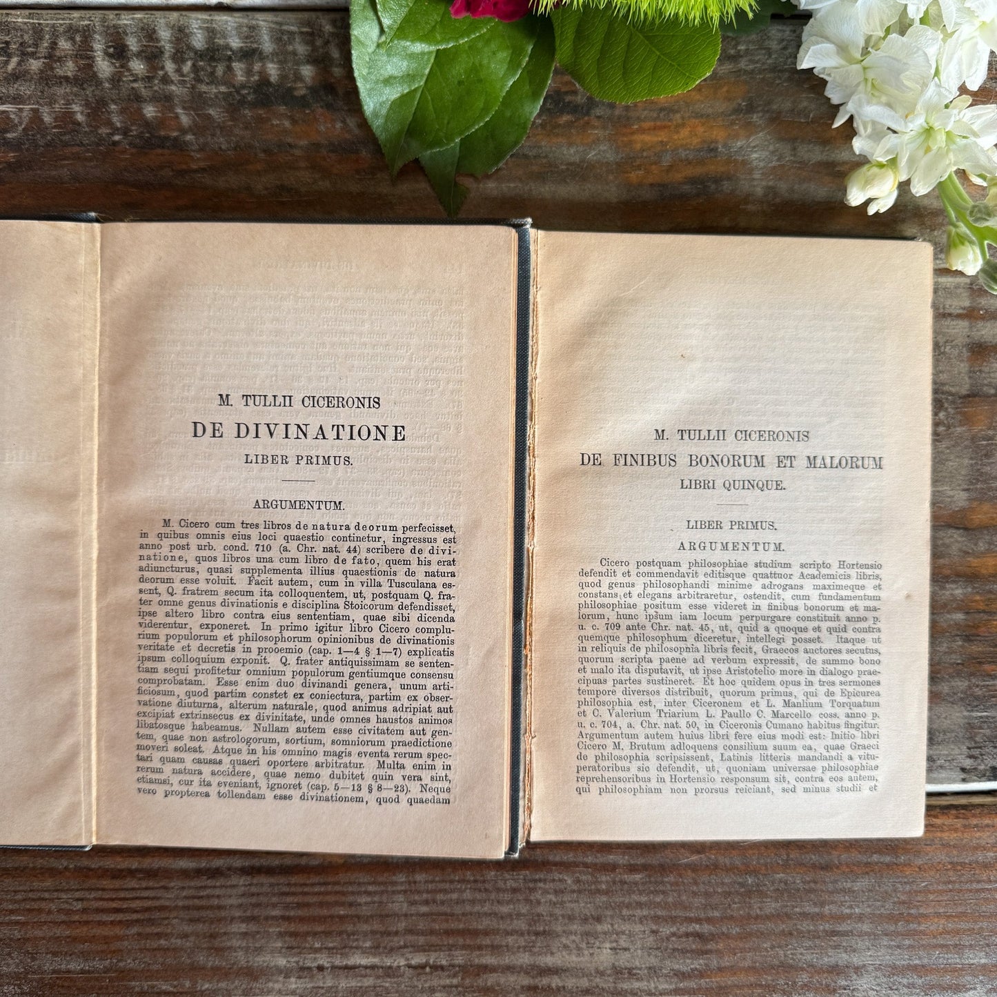 Set of Two Blue Antique Cicero Latin Textbooks - Pretty Old Books