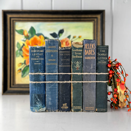 Shabby Antique Blue Distressed Books for Display, Old Cozy Book Bundle - Pretty Old Books