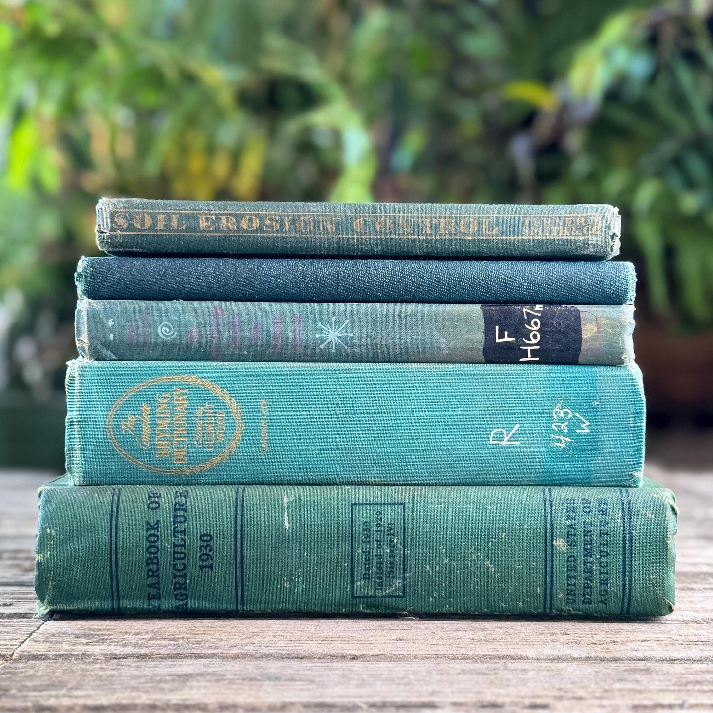 Shabby Faded Dark Green Old Books for Moody Decor - Pretty Old Books