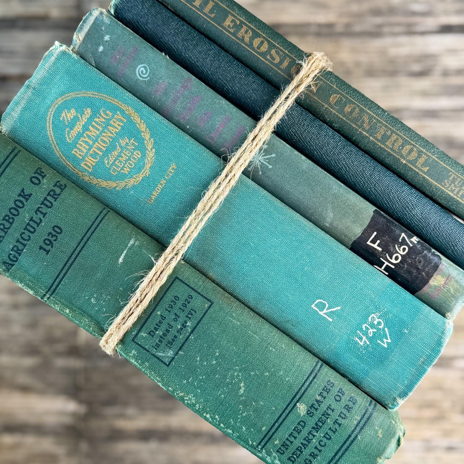 Shabby Faded Dark Green Old Books for Moody Decor - Pretty Old Books