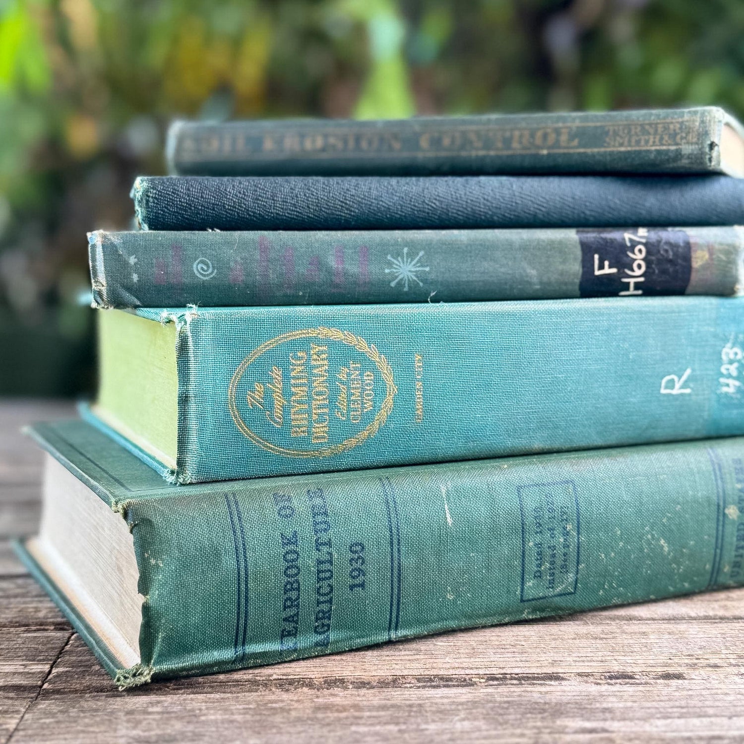 Shabby Faded Dark Green Old Books for Moody Decor - Pretty Old Books