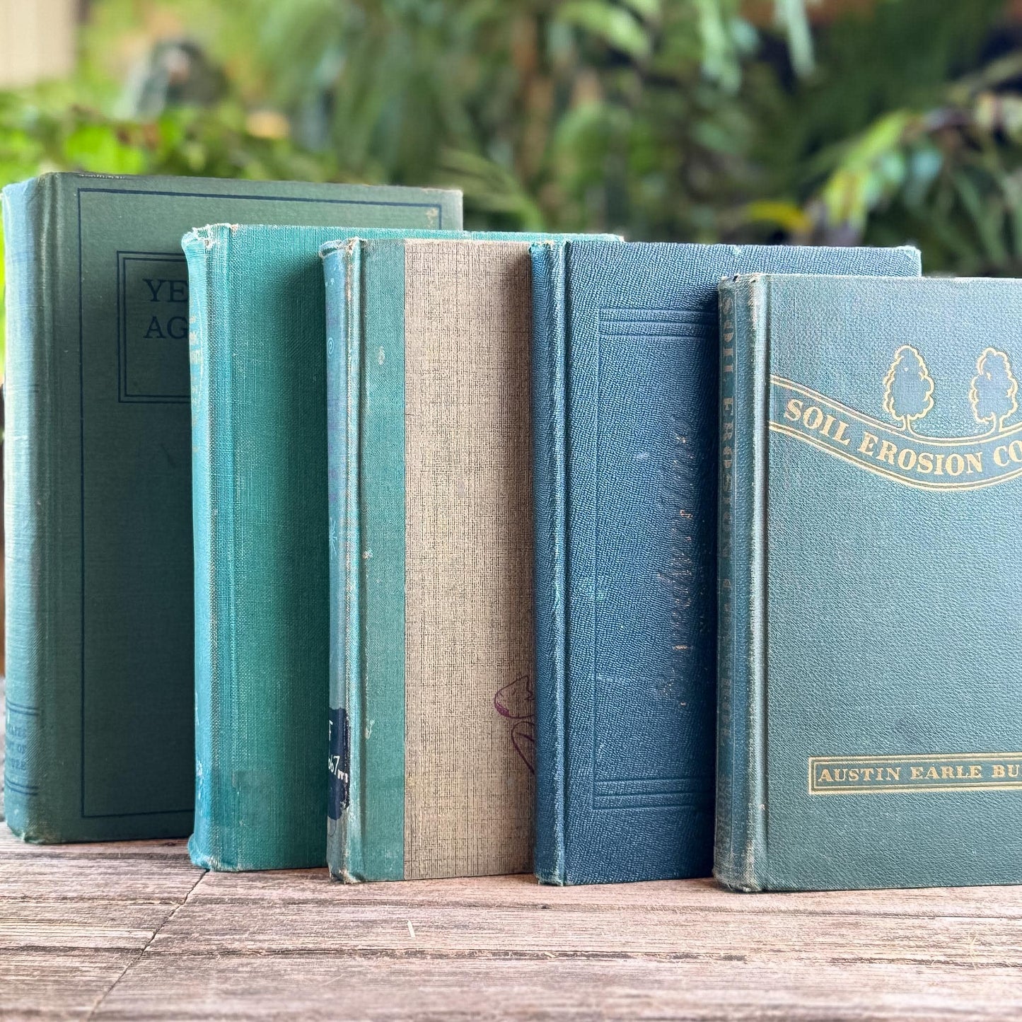 Shabby Faded Dark Green Old Books for Moody Decor - Pretty Old Books