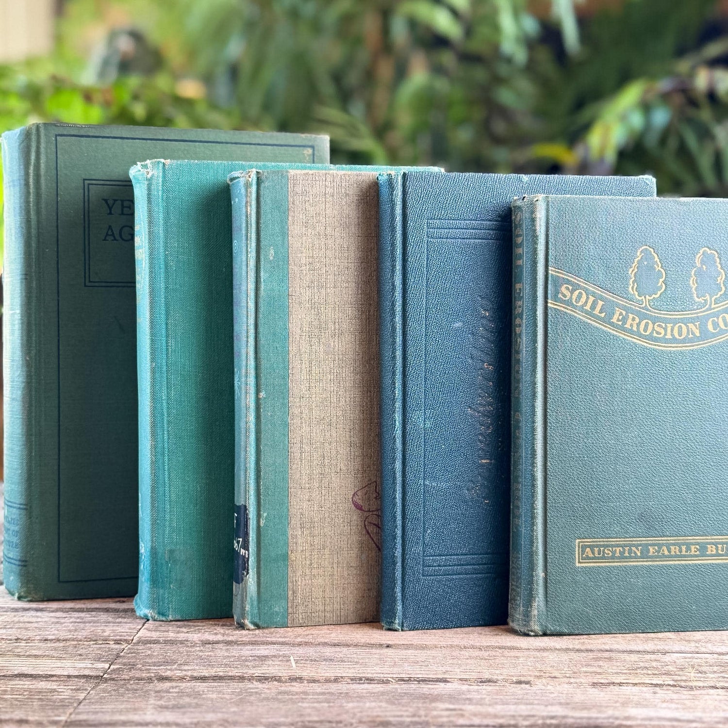 Shabby Faded Dark Green Old Books for Moody Decor - Pretty Old Books