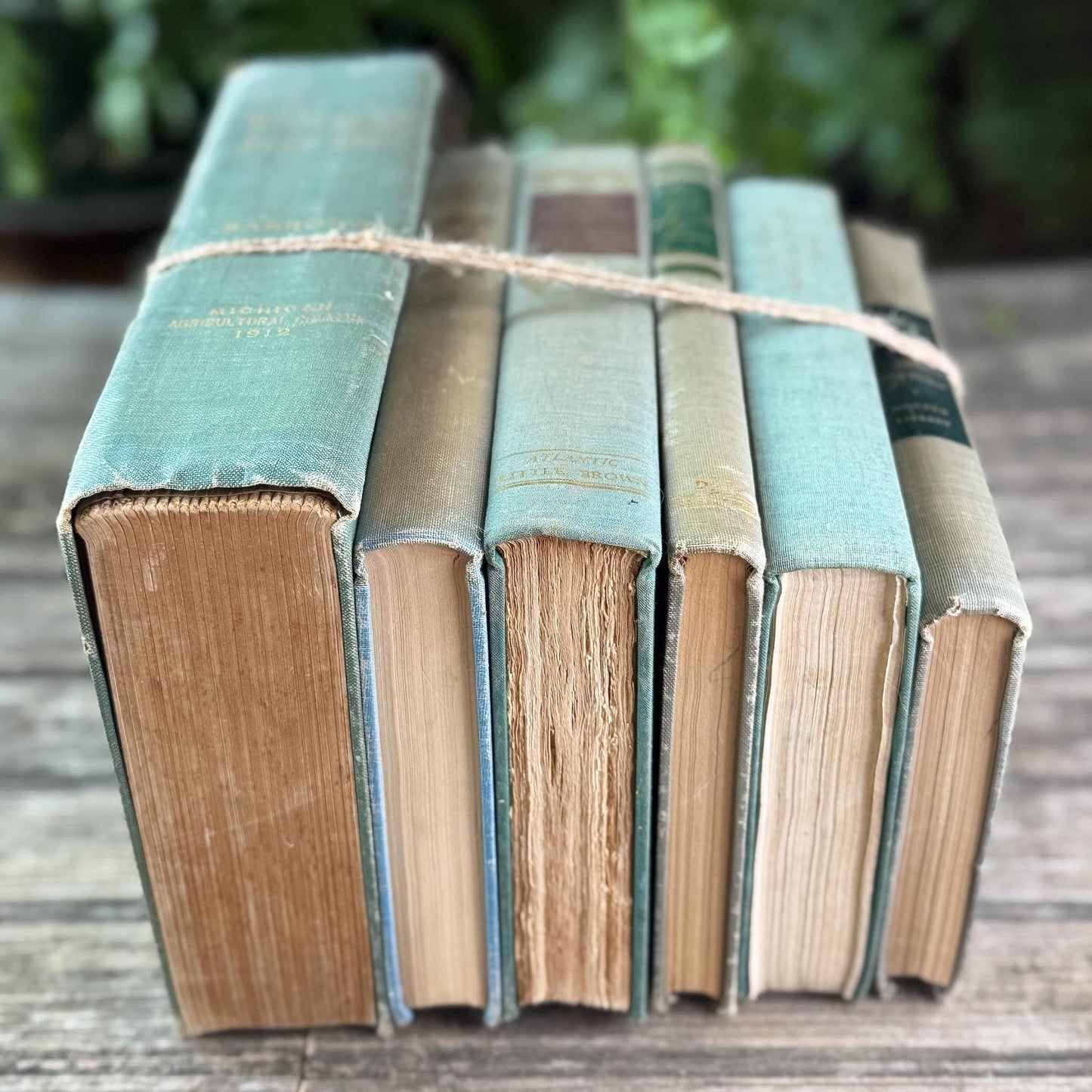 Shabby Faded Green Vintage Book Set - Pretty Old Books