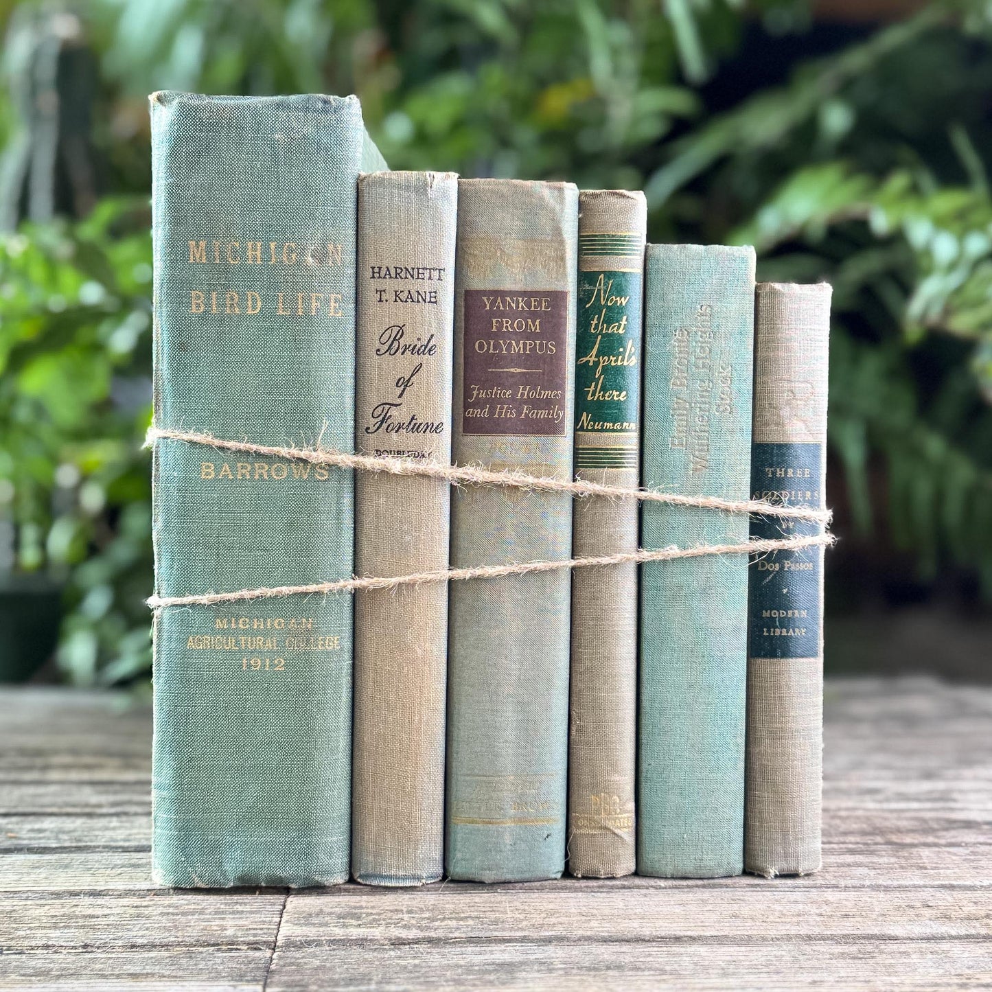 Shabby Faded Green Vintage Book Set - Pretty Old Books