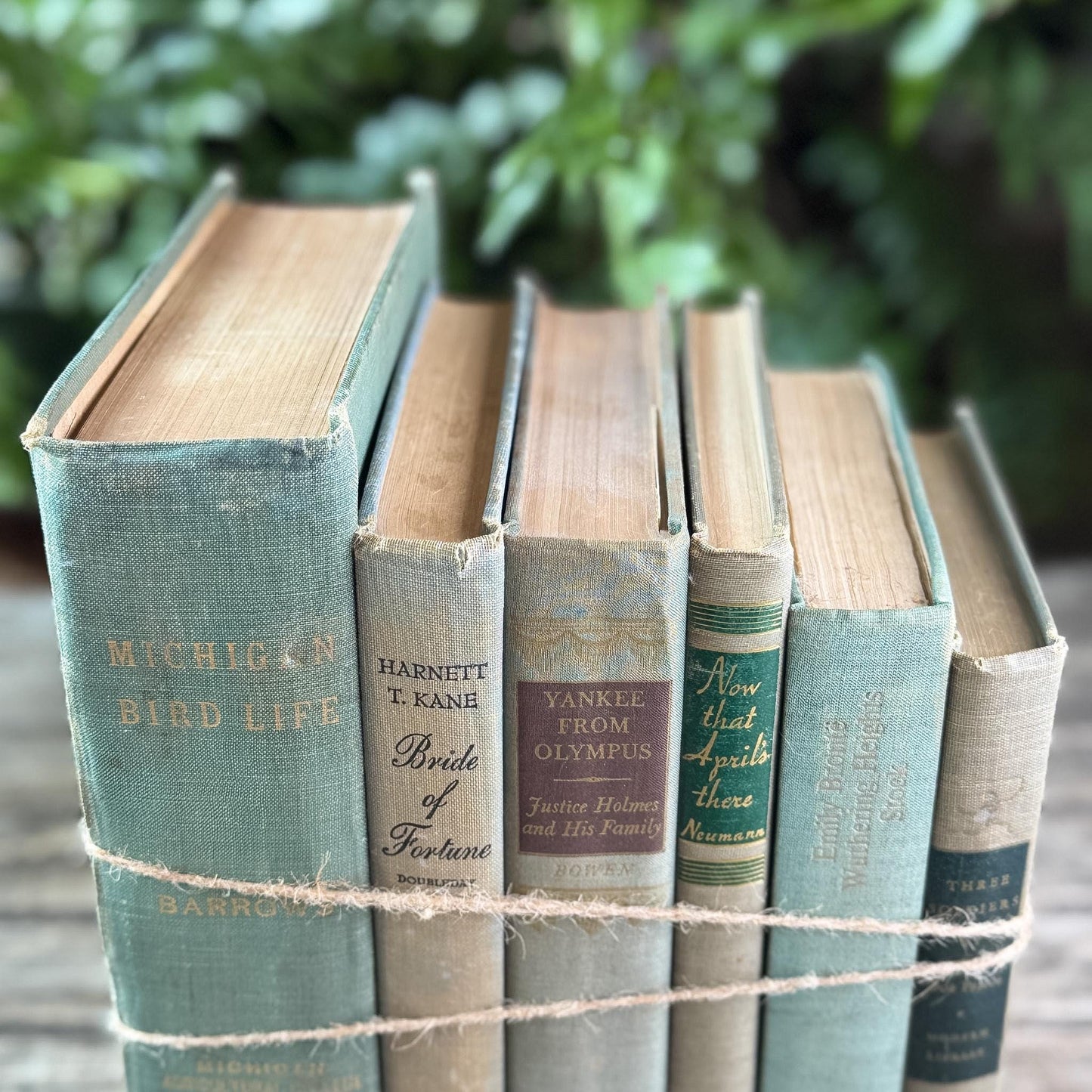 Shabby Faded Green Vintage Book Set - Pretty Old Books