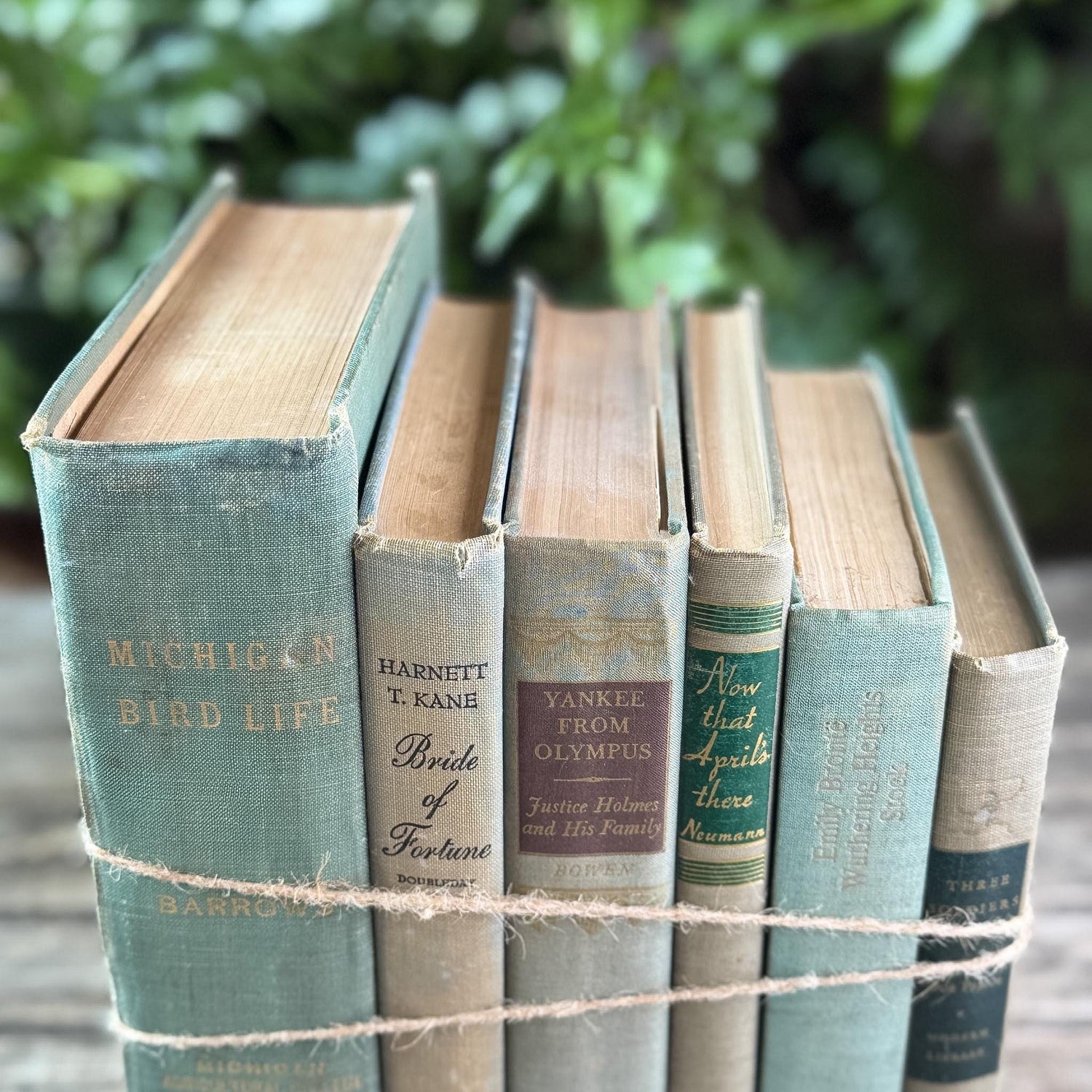 Shabby Faded Green Vintage Book Set - Pretty Old Books