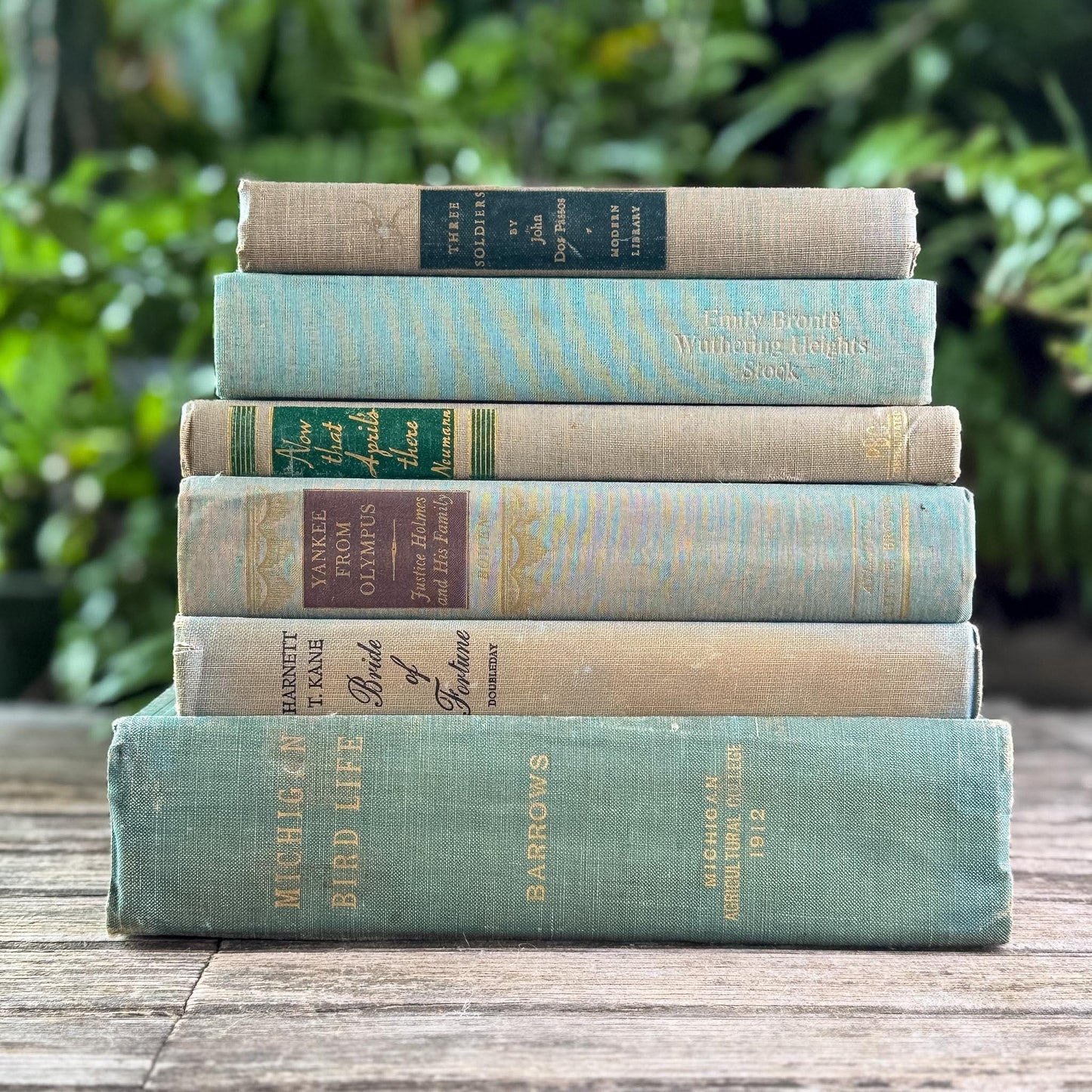 Shabby Faded Green Vintage Book Set - Pretty Old Books