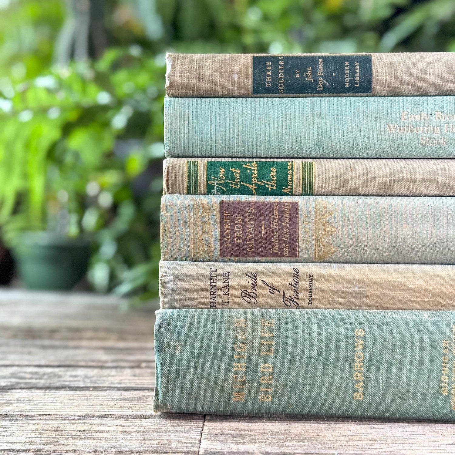 Shabby Faded Green Vintage Book Set - Pretty Old Books