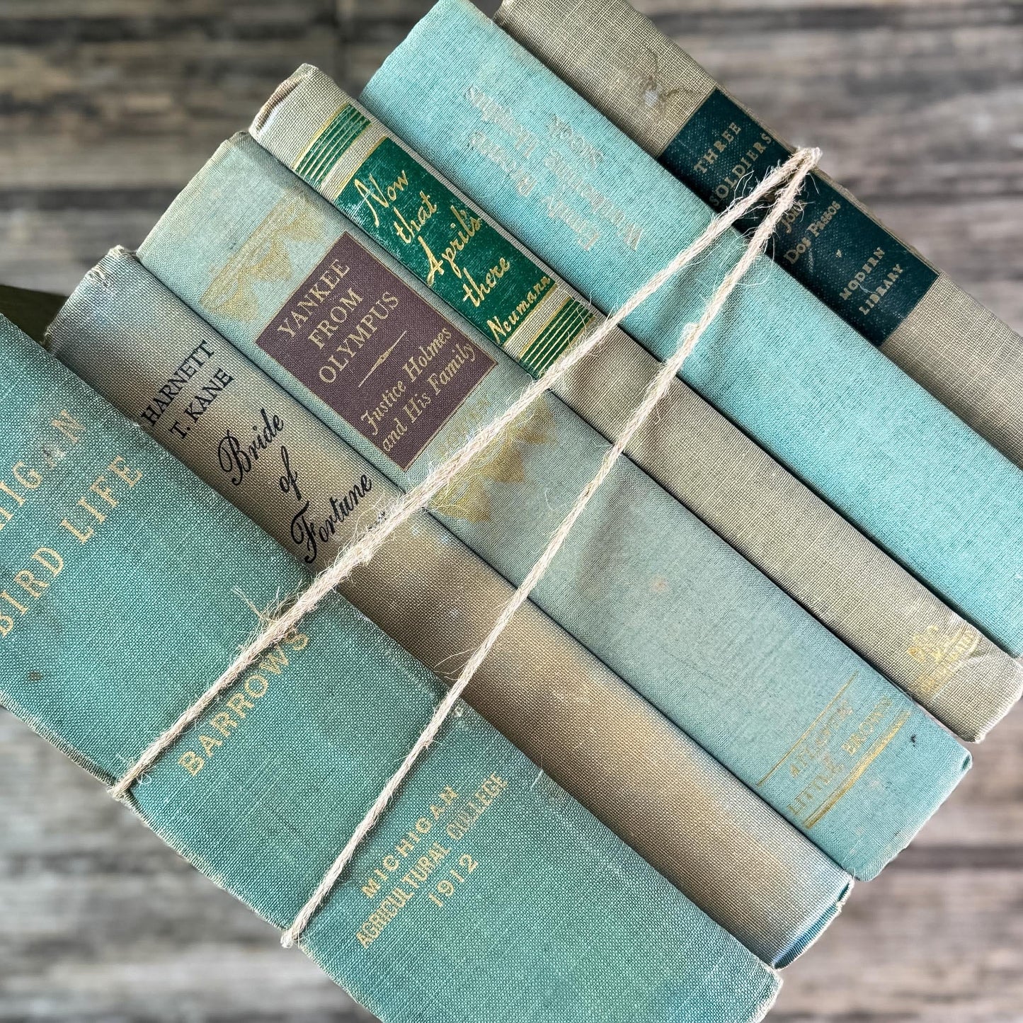 Shabby Faded Green Vintage Book Set - Pretty Old Books