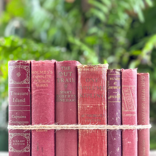 Shabby Faded Red Vintage and Antique Book Bundle for Moody Shelf Styling - Pretty Old Books