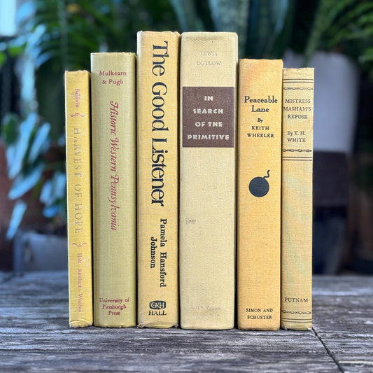 Shabby Faded Yellow Vintage Books for Decor - Pretty Old Books