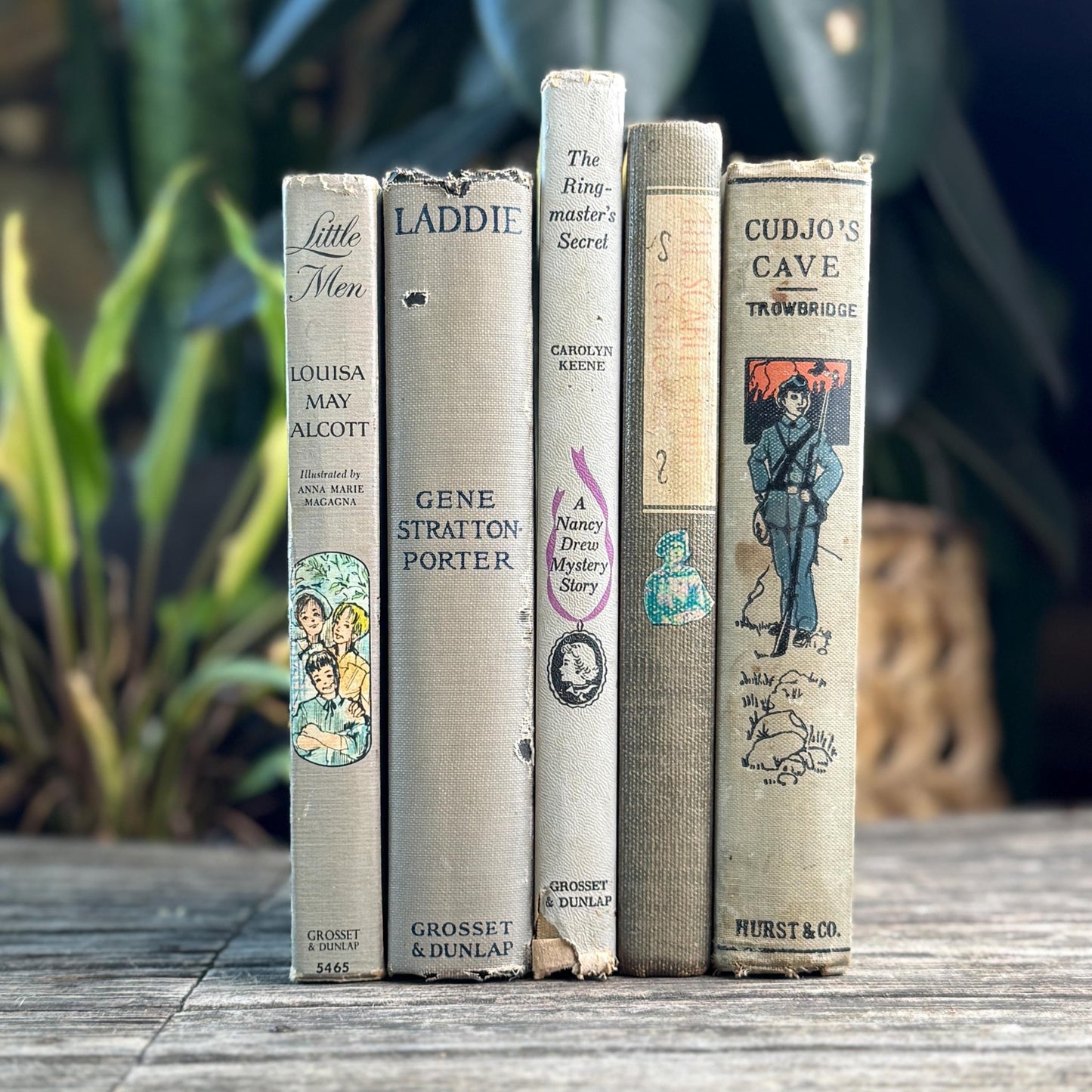 Shabby Gray Vintage Children's Book Bundle for Shelf Styling - Pretty Old Books